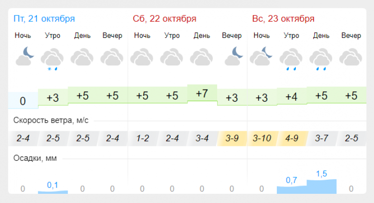 Погода в рузе на 10 дней точный