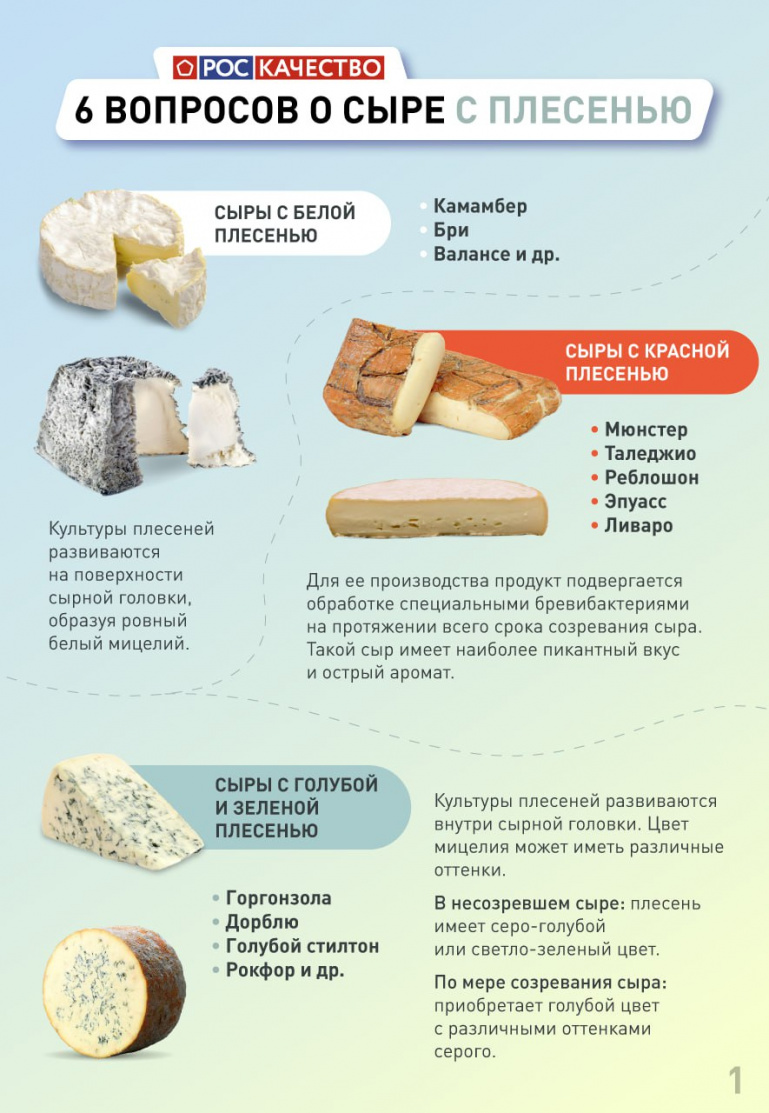 Ружанам рассказали, почему сыр с плесенью такой дорогой и как понять, что  он испортился | Ruza.News - Новости Рузы и Подмосковья