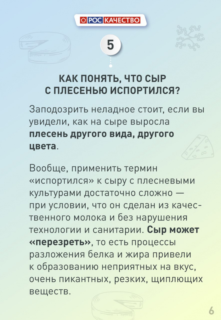 Ружанам рассказали, почему сыр с плесенью такой дорогой и как понять, что  он испортился | Ruza.News - Новости Рузы и Подмосковья