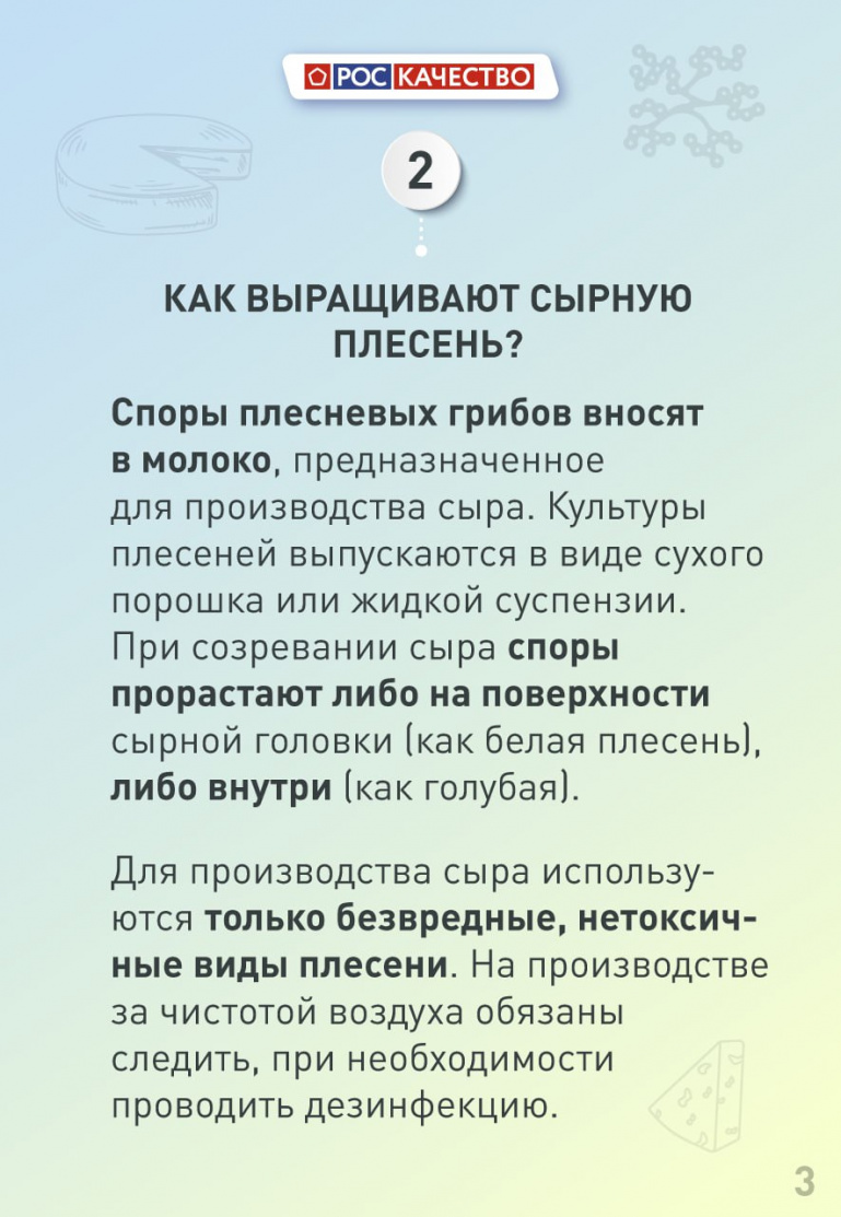 Ружанам рассказали, почему сыр с плесенью такой дорогой и как понять, что  он испортился | Ruza.News - Новости Рузы и Подмосковья